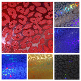 Holographic Leopard Set of Dark Colors ~ Set of 6 (Blue, Gray, Dark Red, Black, Dark Purple & Gold)