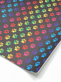 Rainbow Paw Prints