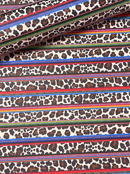 Serape Leopard