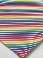 Rainbow Stripes #2 Diagonal